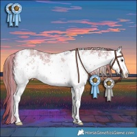 Horse Color:Plaid  White Spotted Liver Red Dun 