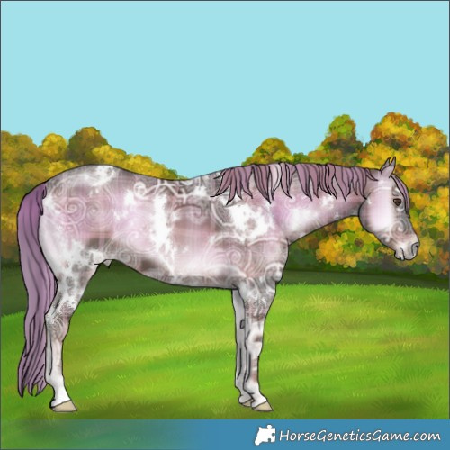 Horse Color:Plaid  White Spotted Liver Red Onyx Ice 