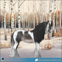 Horse Color:Platinum Brown Tobiano 