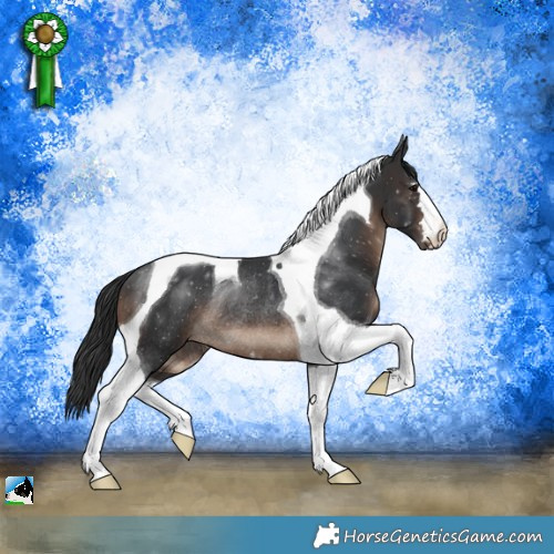 Horse Color:Brown Tobiano Rabicano 