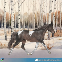 Horse Color:Platinum Liver Chestnut Tobiano 
