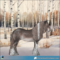 Horse Color:Platinum Liver Chestnut Tobiano 