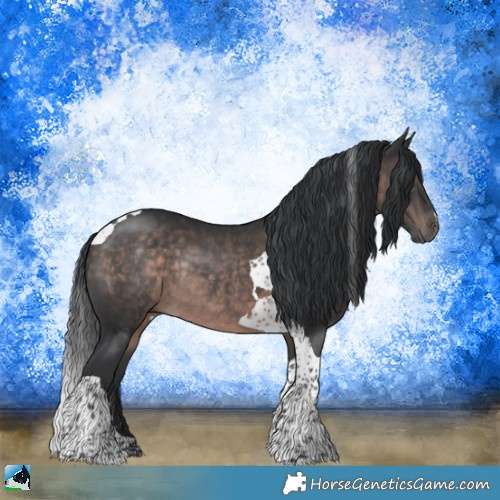 Horse Color:Platinum Brown Tobiano Rabicano 