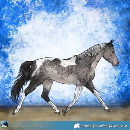 Horse Color:Platinum Buckskin Tobiano Rabicano 
