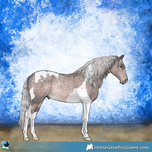 Horse Color:Platinum Chocolate Palomino Tobiano Rabicano 