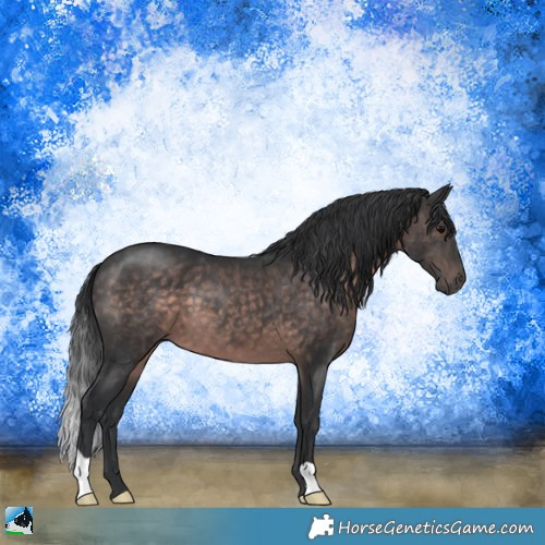 Horse Color:Platinum Brown 