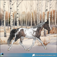 Horse Color:Platinum Brown Tobiano Rabicano