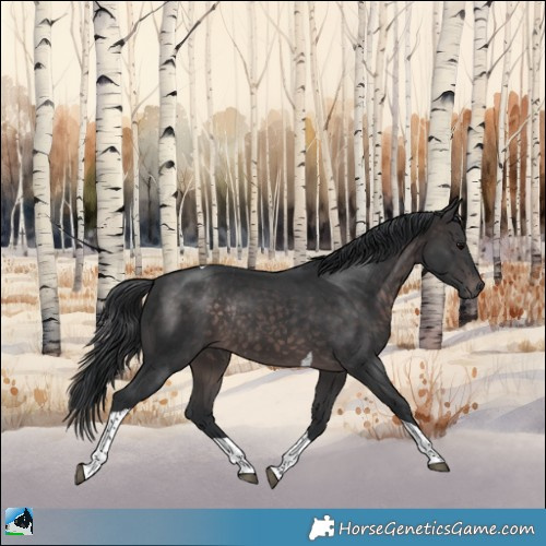 Horse Color:Platinum Brown Tobiano Rabicano 