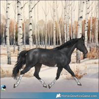 Horse Color:Platinum Brown Tobiano Rabicano 