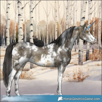 Horse Color:White Spotted Buckskin Ice Dun Mushroom Sabino Brindle 
