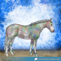 Horse Color:Nacre Watercolor Silver Buckskin Sabino 