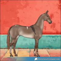 Horse Color:Liver Red Dun Tobiano Rabicano