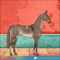 Horse Color:Liver Red Dun Tobiano Rabicano 