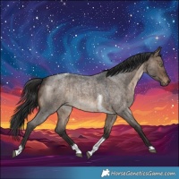 Horse Color:Brown Roan Dun Tobiano Brindle 