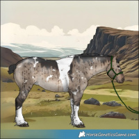 Horse Color:White Spotted Brown Dun Tobiano Brindle