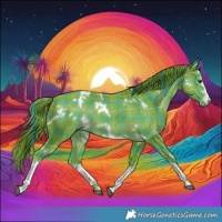Horse Color:Watercolor Plaid  White Spotted Liver Chestnut Rabicano 