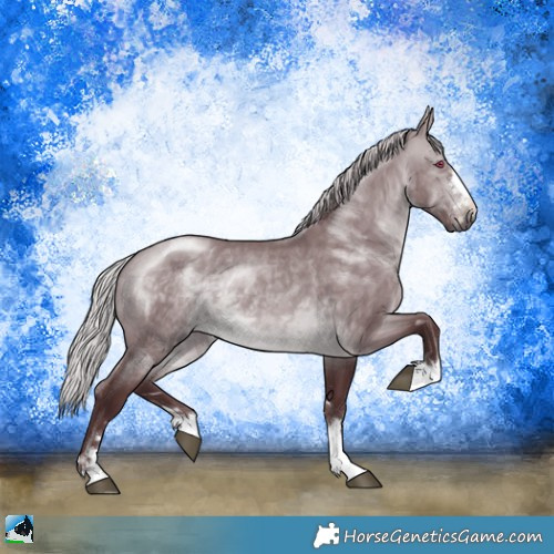 Horse Color:Chocolate Silver Brown Chinchilla Dun 