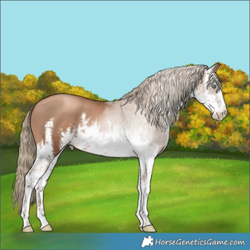 Horse Color:White Spotted Liver Chestnut Pearl 