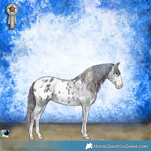 Horse Color:Nacre White Spotted Black Sabino Appaloosa Rabicano 