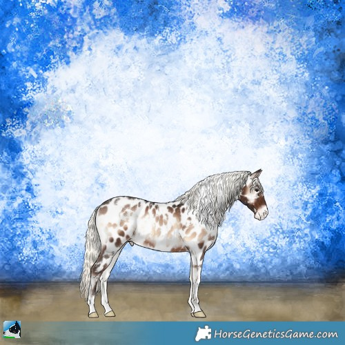 Horse Color:White Spotted Liver Red Onyx Mushroom Appaloosa Rabicano 