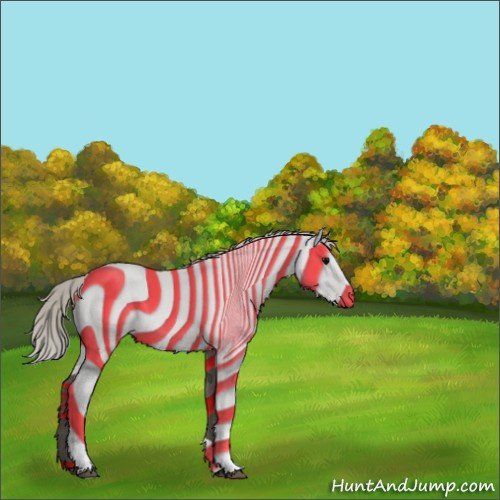 Horse Color:Silver Black Tobiano 