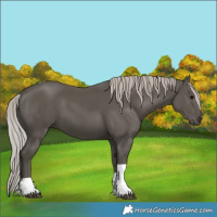 Horse Color:Silver Black Tobiano