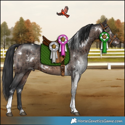 Horse Color:White Spotted Brown Dun Mushroom Tobiano Brindle 