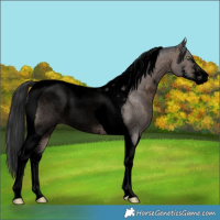 Horse Color:Void Brown Ice Dun Mushroom Sabino Tobiano 