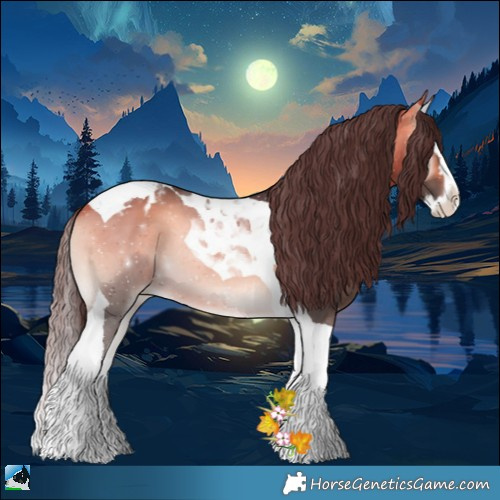 Horse Color:Buckskin Onyx Splash Tobiano Appaloosa Rabicano 