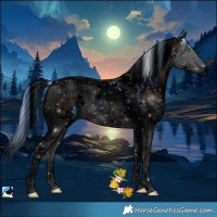 Horse Color:ERROR: UNKNOWN ANOMALY