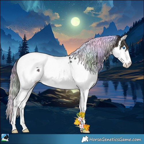 Horse Color:Nacre Plaid Midnight Bay Ice Onyx Sabino Splash Tobiano Appaloosa