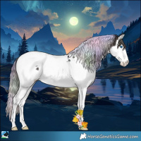 Horse Color:Nacre Plaid  Midnight Bay Ice Onyx Sabino Splash Tobiano Appaloosa 