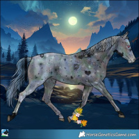 Horse Color:ERROR: UNKNOWN ANOMALY