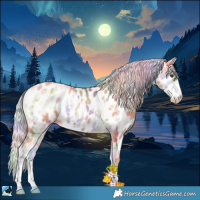 Horse Color:Nacre Silver Amber Champagne Ice Onyx Sabino Near Leopard 