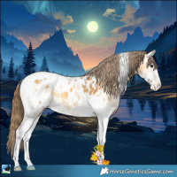 Horse Color:Buckskin Ice Onyx Tobiano Blanket 