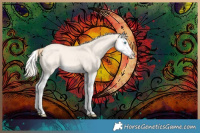 Horse Color:Perlino Dun Splash 