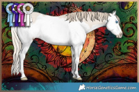 Horse Color:Smoky Creme Dun Splash 