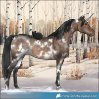 Horse Color:White Spotted Brown Dun