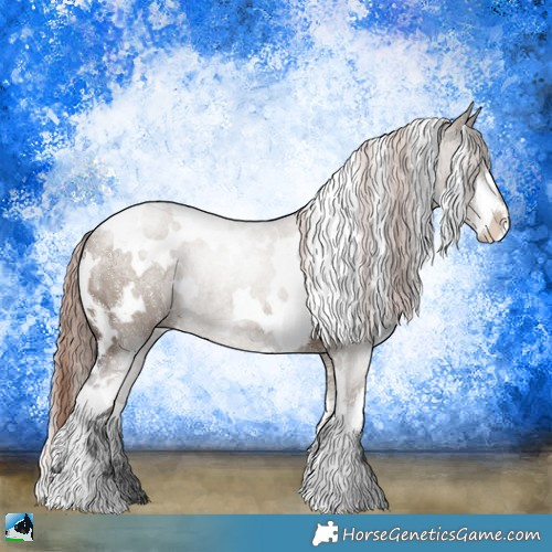 Horse Color:White Spotted Liver Red Dun Sabino Rabicano 