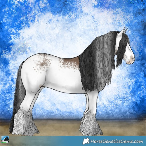 Horse Color:White Spotted Liver Red Dun Sabino 