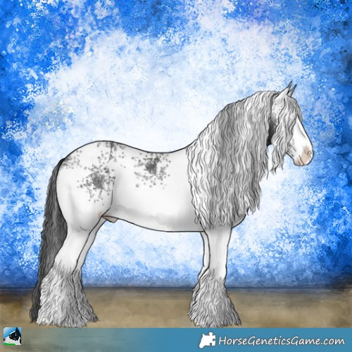Horse Color:White Spotted Black Sabino Rabicano 