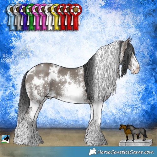 Horse Color:White Spotted Grullo 