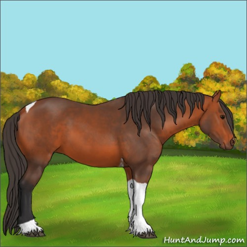Horse Color:Bay Tobiano Rabicano
