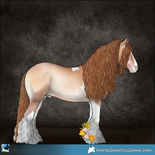 Horse Color:Bay Pearl Onyx Sabino Tobiano Rabicano 