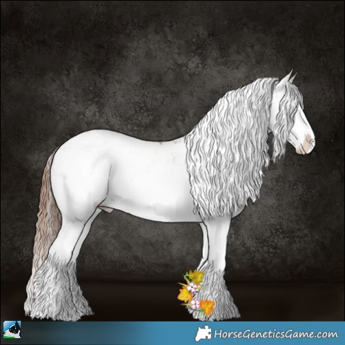 Horse Color:Brown Pearl Onyx Sabino Rabicano 