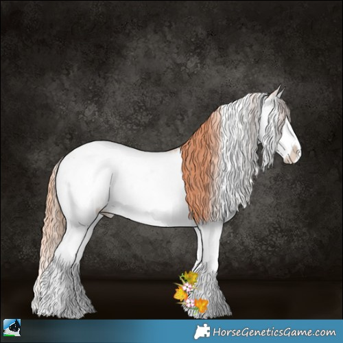 Horse Color:Amber Champagne Pearl Onyx Sabino Splash 