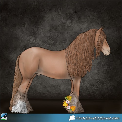 Horse Color:Black Pearl 