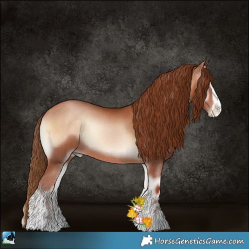 Horse Color:Brown Pearl Onyx Sabino 