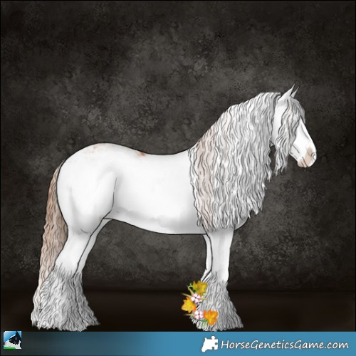 Horse Color:Blue Onyx Pearl Sabino Splash Rabicano 