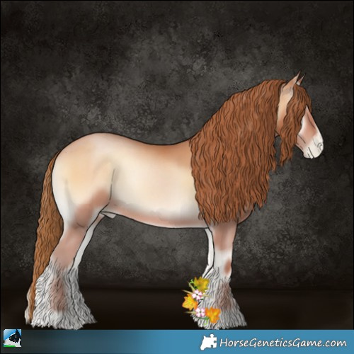 Horse Color:Brown Pearl Onyx 
